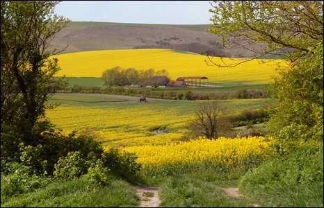 1763322971243.jpeg 1763322971243.jpeg