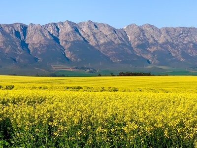 1763326266465.jpeg 1763326266465.jpeg