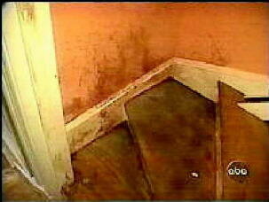 1000002321.jpg 1000002321.jpg