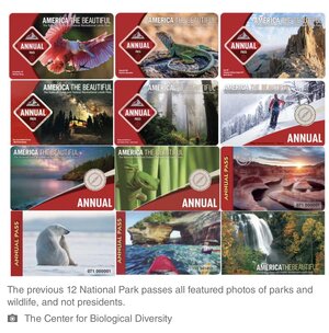 IMG_1708.jpeg IMG_1708.jpeg