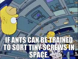 IMG_1710.jpeg IMG_1710.jpeg