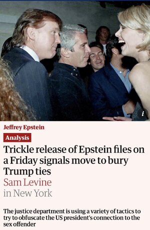 IMG_1981.jpeg IMG_1981.jpeg