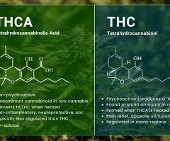 THCA vs THC: What Is The Difference? | ATLRx