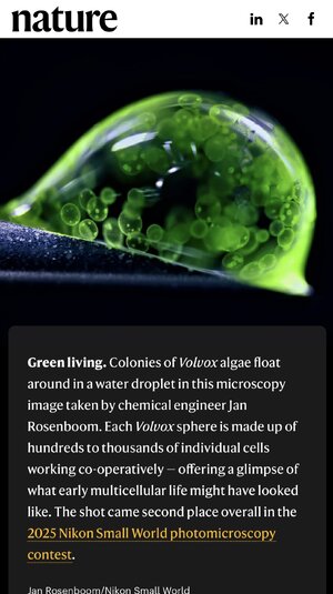 IMG_3221.jpeg IMG_3221.jpeg