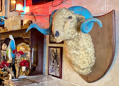 Rameses1925LapinBleu.jpg Rameses1925LapinBleu.jpg