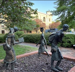 IMG_2888.jpeg IMG_2888.jpeg