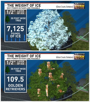 1769107801276.png 1769107801276.png