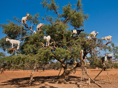 1769115820074.png 1769115820074.png