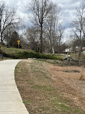 IMG_2547.jpeg IMG_2547.jpeg