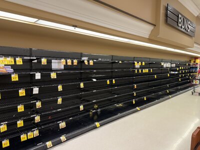 IMG_3113.jpeg IMG_3113.jpeg