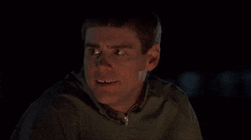 Dumb And Dumber GIF Dumb And Dumber GIF