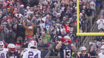 Mack Hollins Football GIF by New England Patriots