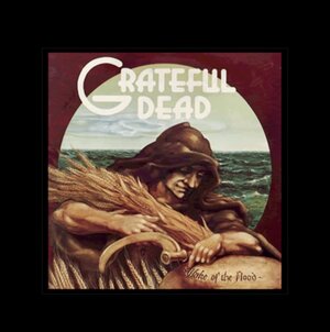 IMG_3750.jpeg IMG_3750.jpeg