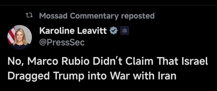 IMG_0687.jpeg IMG_0687.jpeg