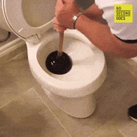 Toilet Bathroom GIF by 60 Second Docs Toilet Bathroom GIF by 60 Second Docs