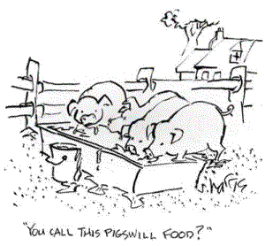 zzpigs willfood  26m0326 002.png