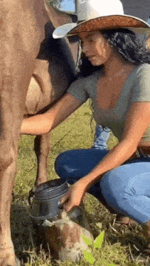cowboy-girl-cow-milk.gif