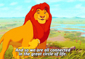 the lion king disney GIF the lion king disney GIF