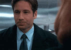 David Duchovny Shrug GIF