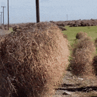 Flip Rolling GIF by Rodney Dangerfield