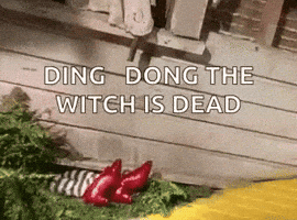 Wizard Of Oz GIF by slicedbread