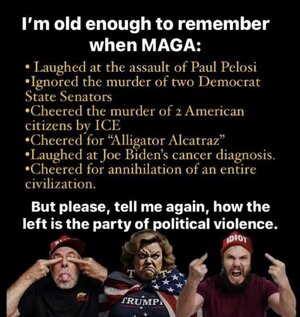 MagaPoliticalViolence.jpg