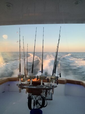 IMG_2814.jpeg