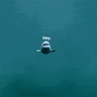 Water Hello GIF