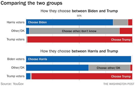 biden poll.jpeg