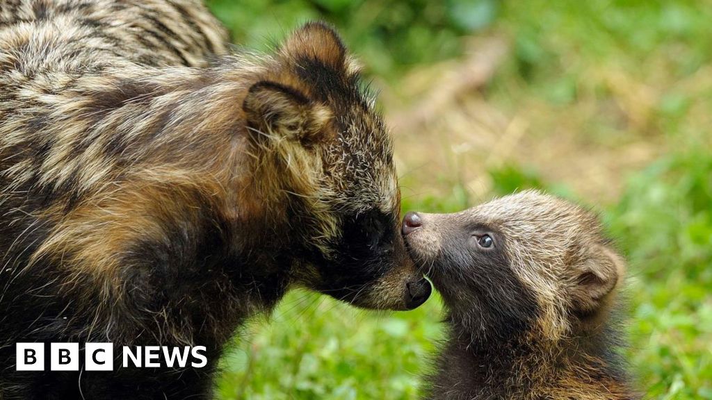 www.bbc.com