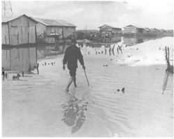 A hamlet elder uses a wood cane to feel his way along one of the walk ways at Binh Hung. The rainy season floods the hamlet and surrounding land, turning it into a sea of mud. But, life goes on as usual.: Douglas Pike Collection: Other Manuscripts - American Friends of Vietnam [VA005624]