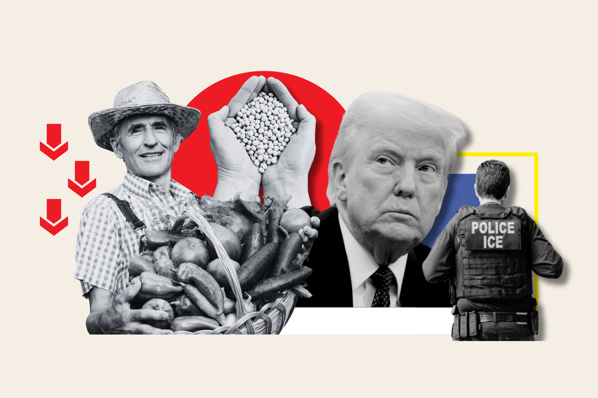 www.newsweek.com