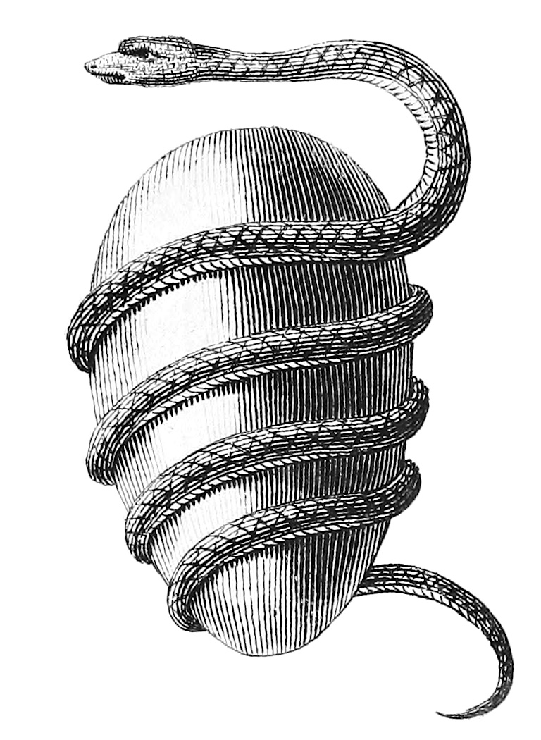 en.wikipedia.org