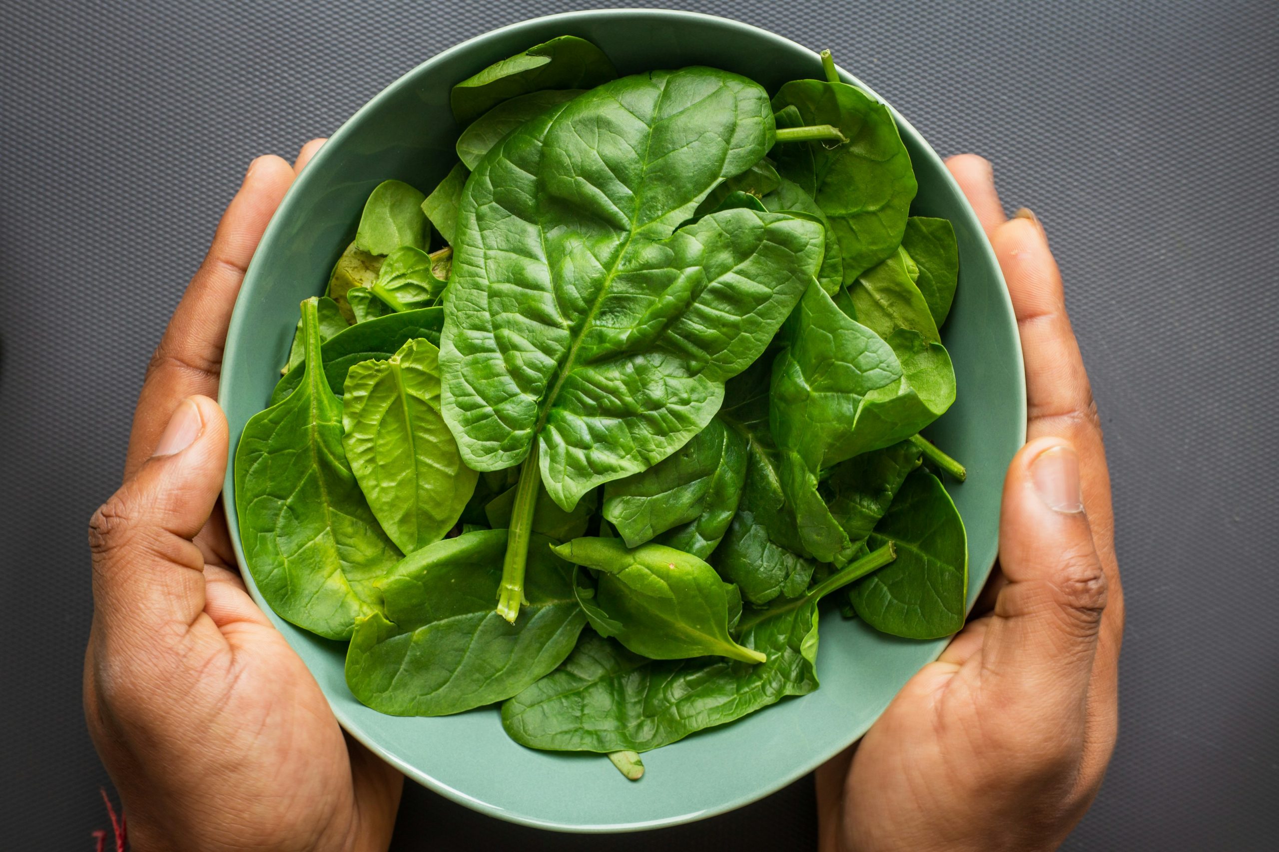 foodinstitute.com