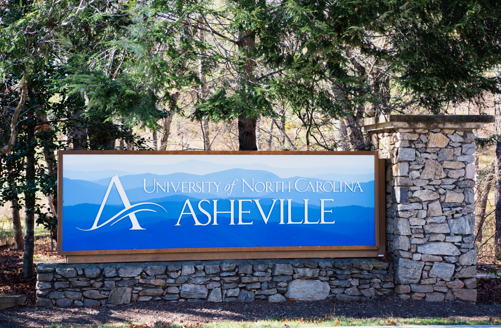 avlwatchdog.org