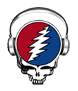 gratefuldeadoftheday.com