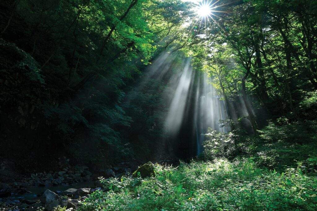 www.mindful.org