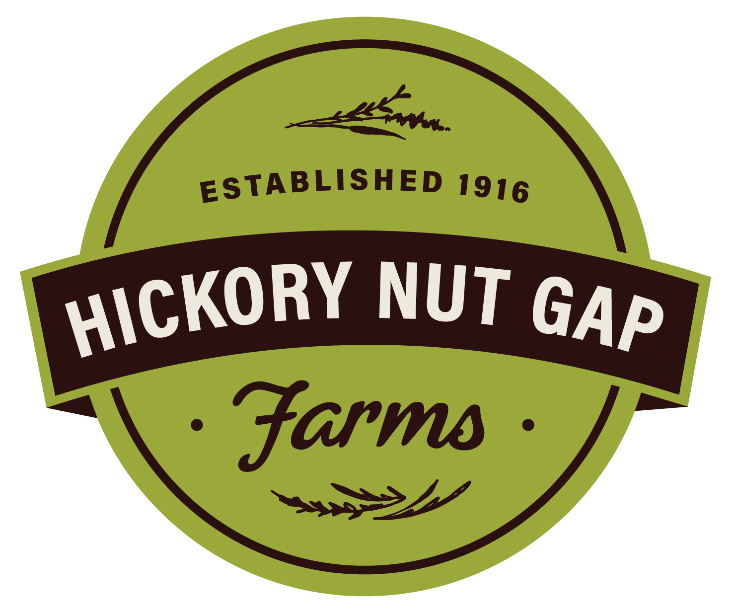 hickorynutgap.com