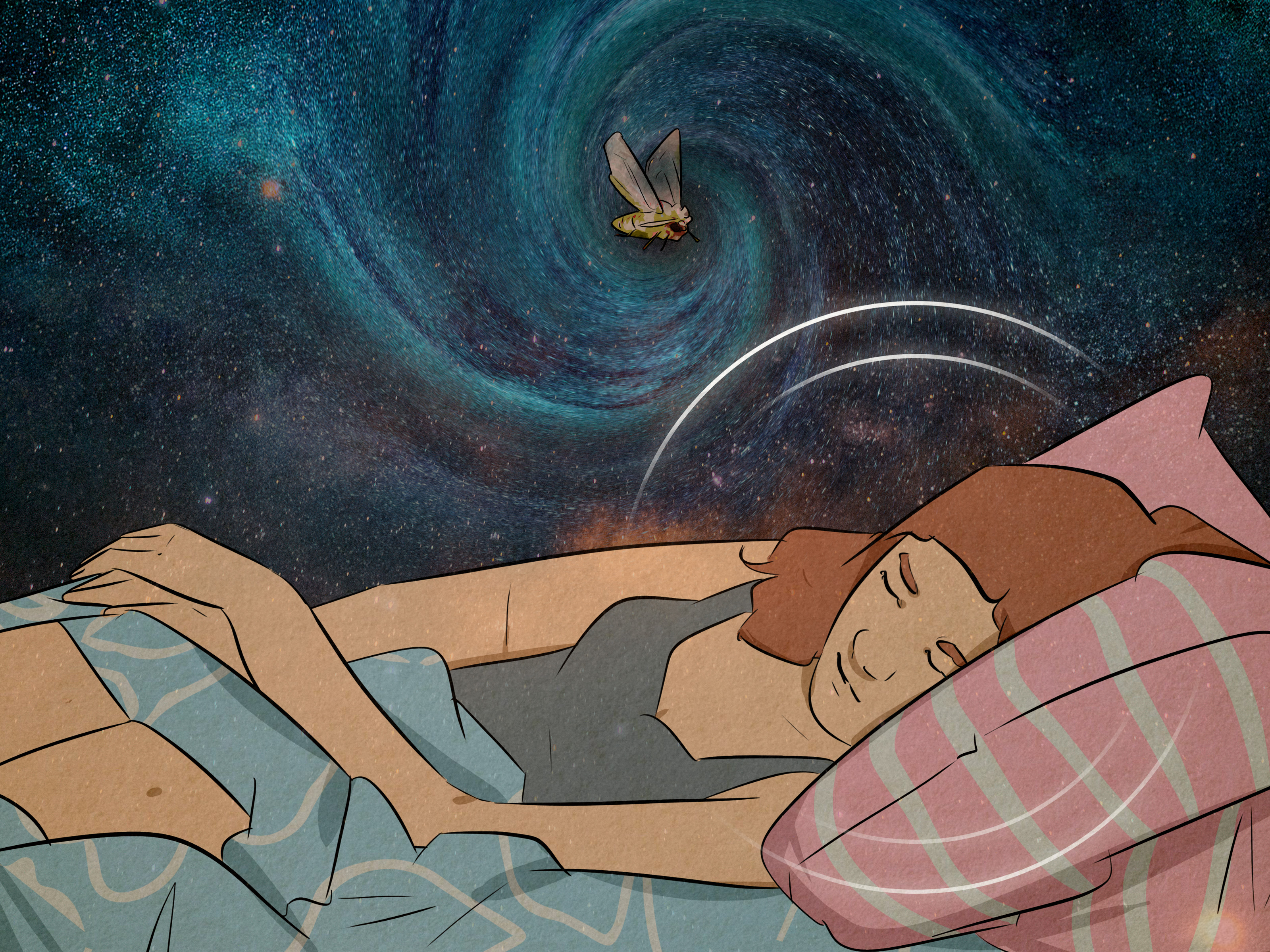 www.wikihow.com